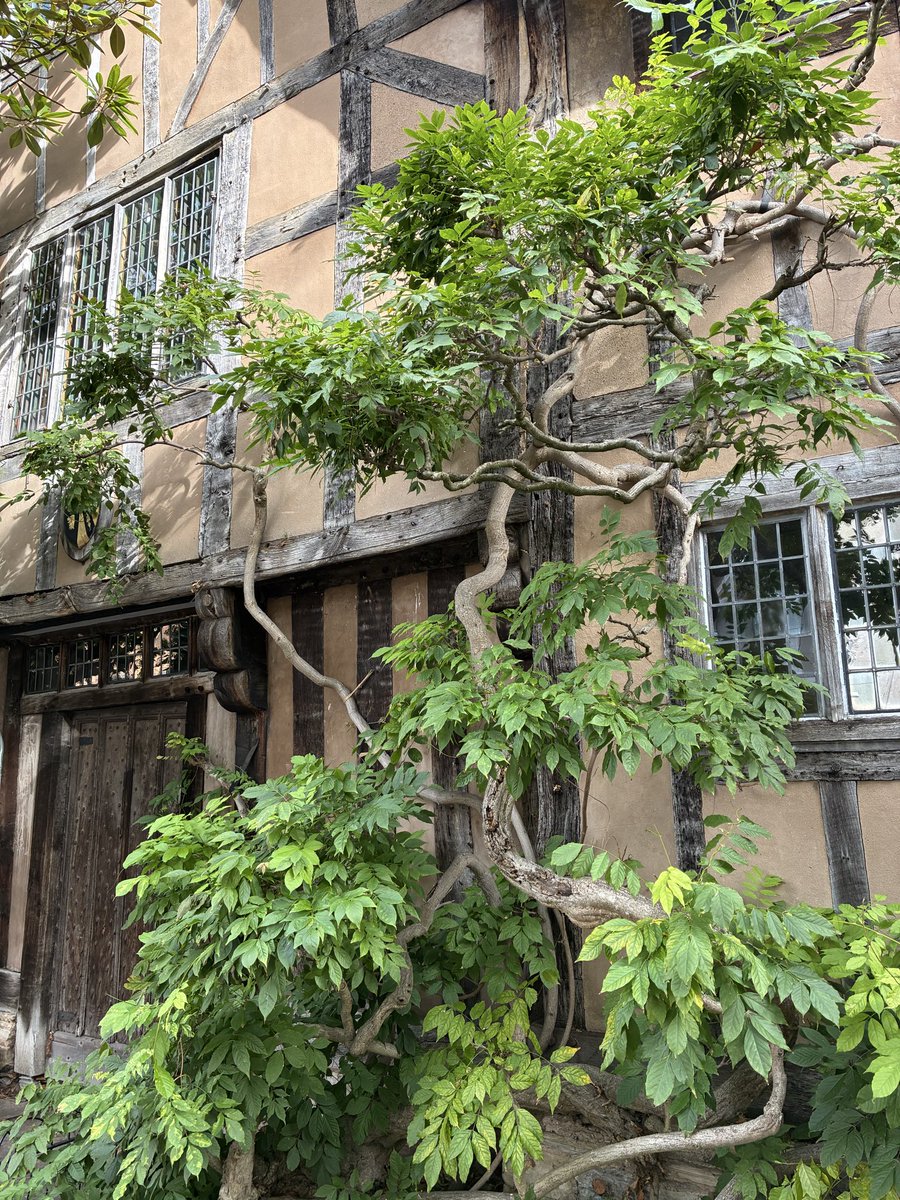 Stratford upon avon was beautiful🤩🤩❤️👑