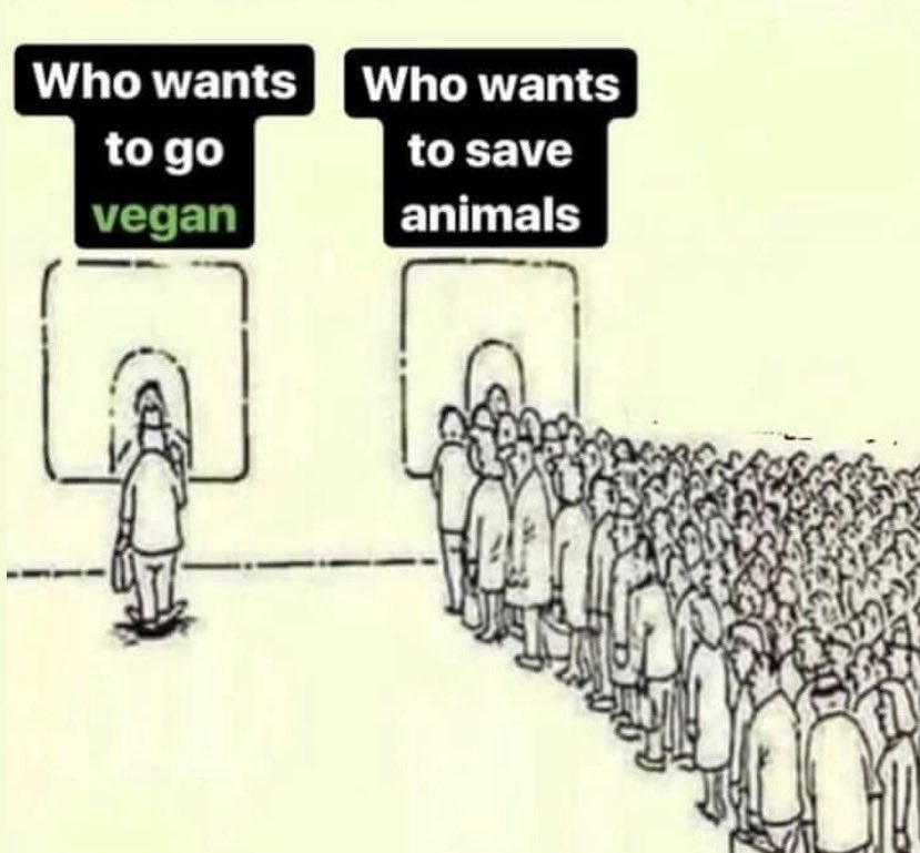 NothingIsArt tweet media