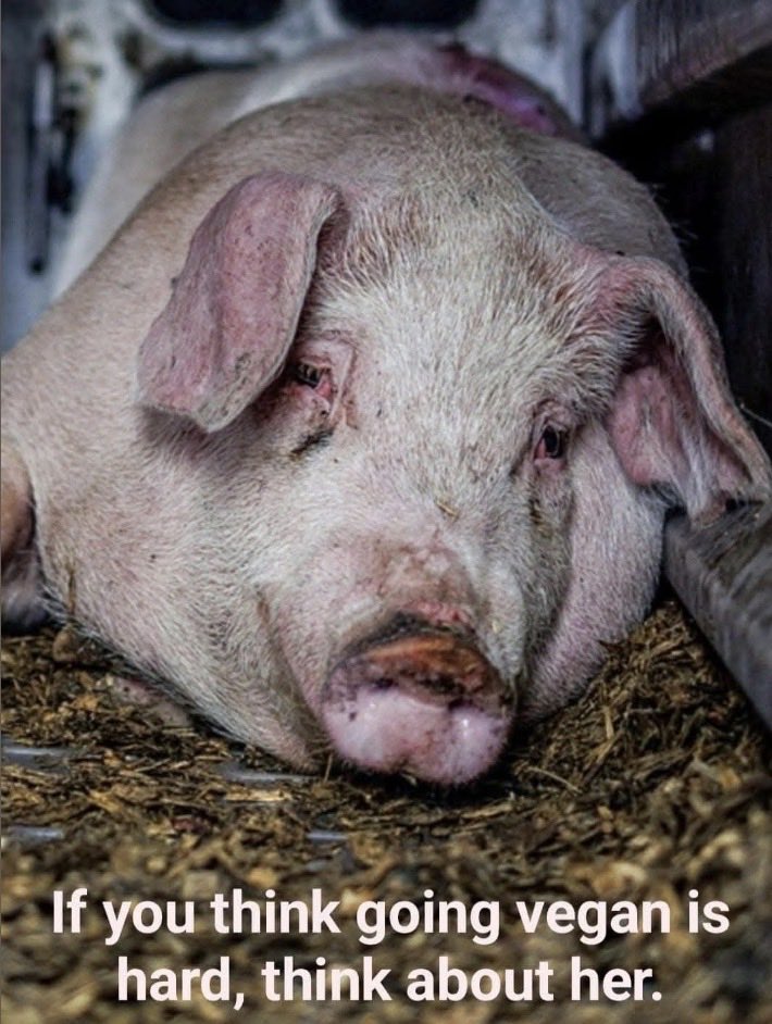 NothingIsArt tweet media