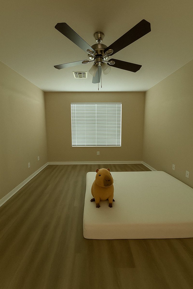 CapybaraDEX tweet media