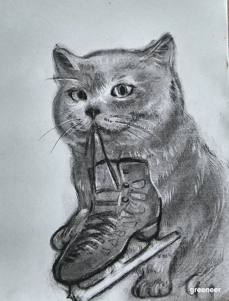 IceJunan's tweet image. 헝아 내 갈라 거마어 🌩 나도 헝아 선물 잡아왔더!! 🐈‍⬛️🌩 ⛸️
#thunder #thor #junhwancha