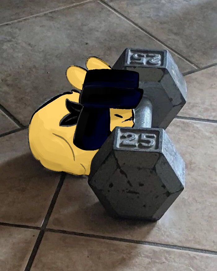 Bunny borys goes to gym #mafialings #soldier