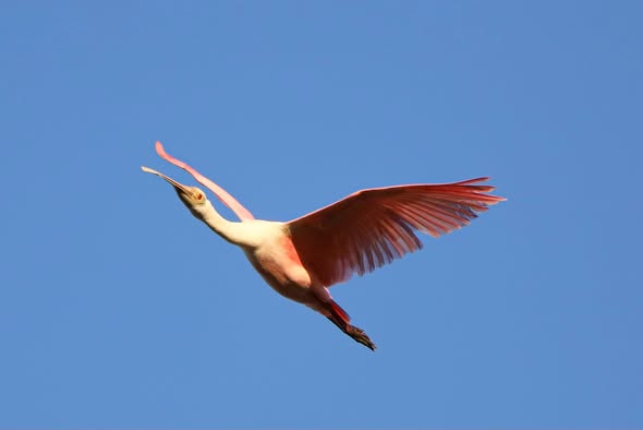 MezmurBest's tweet image. The power of perspective: #Eritrean photographer Awet Nebiyat  fulfills all the arts and elements of photography. Her chosen angles and  masterful exposures are indescribable. A true camera artist.
