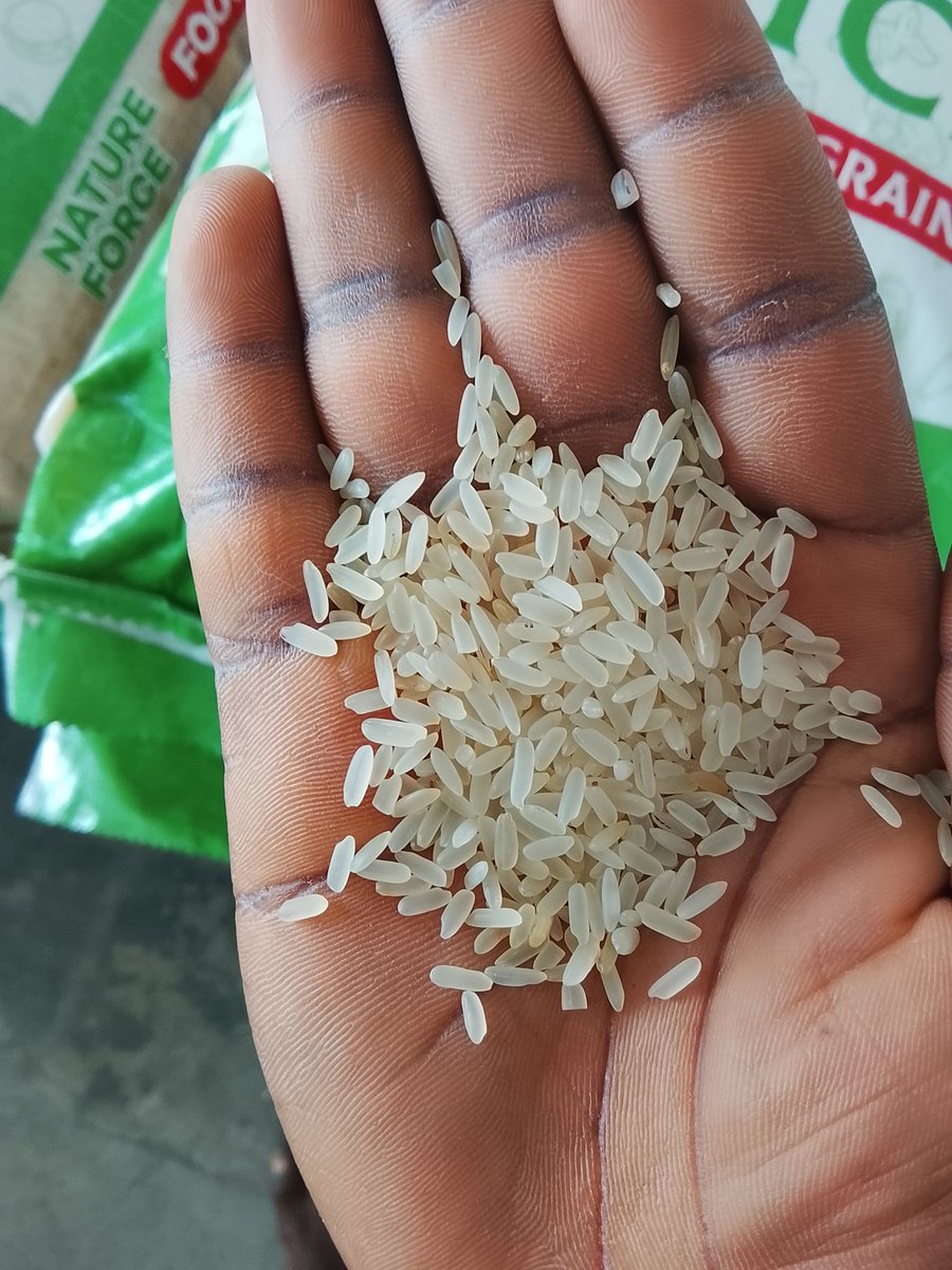 Ifeanyichukwu tweet media