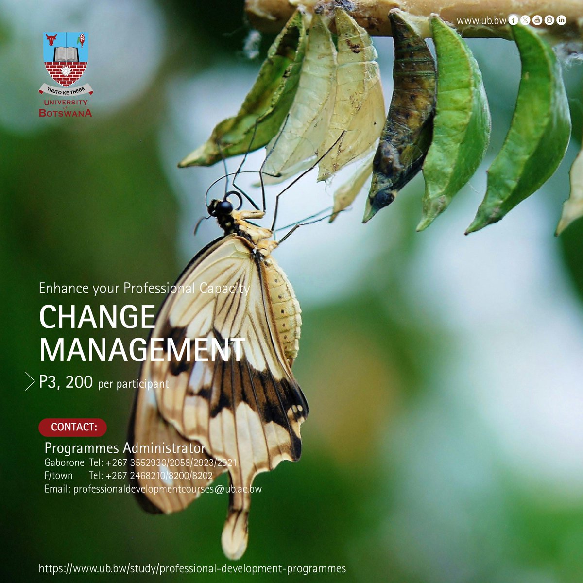 UBBotswana's tweet image. #ProfessionalDevelopmentCourse 
CHANGE MANAGEMENT
Date: 28th – 30th October 2025 | Venue: Venue: University of Botswana, Gaborone.
#EnrolNow: ub.bw/study/professi…