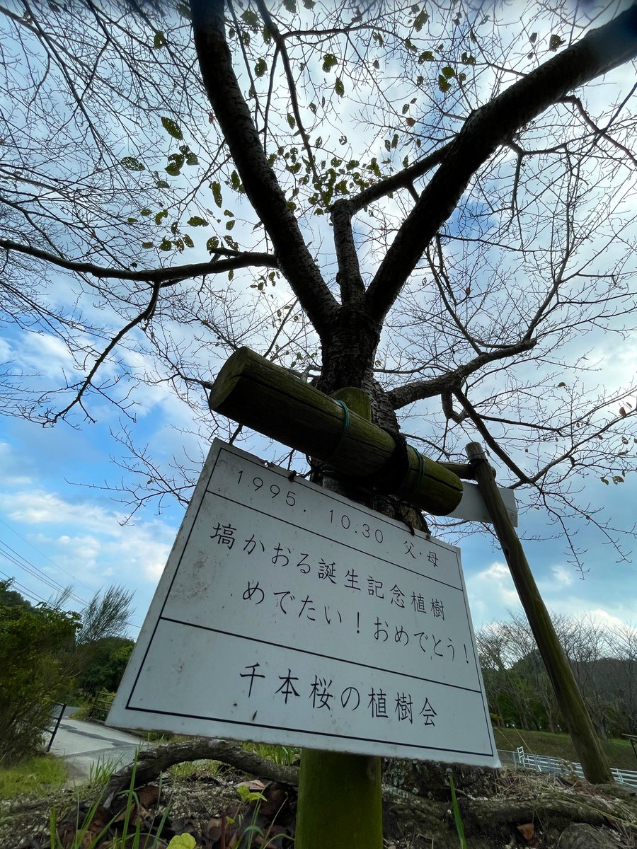 torutoru_toruto's tweet photo. 4人の記念桜
ちょっとうるっときた（さよみお姉さん以外）
他の千本桜もそれぞれに物語があるんだろう。素敵な文化だ https://t.co/PdLrGe801o