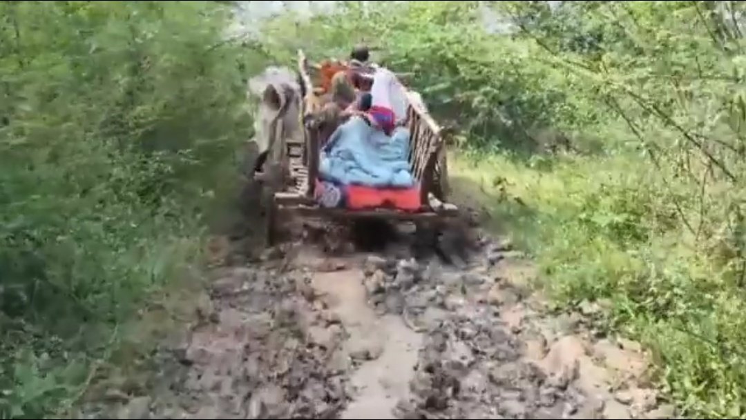 एंबुलेंस नहीं मिली मरीज को बैलगाड़ी में ले जाना पड़ा
4 ट्रिलियन की अर्थव्यवस्था बताने वाले ज़रा ये तस्वीर देखें!
जहां स्वास्थ्य व्यवस्था बैलों के भरोसे हो,वहां विकास के दावे शर्मिंदा हैं।
सरकार आंकड़ों में आगे है,ज़मीनी सच्चाई में पीछे।
ये‘विकसित भारत’नहीं,दर्द में डूबा भारत है