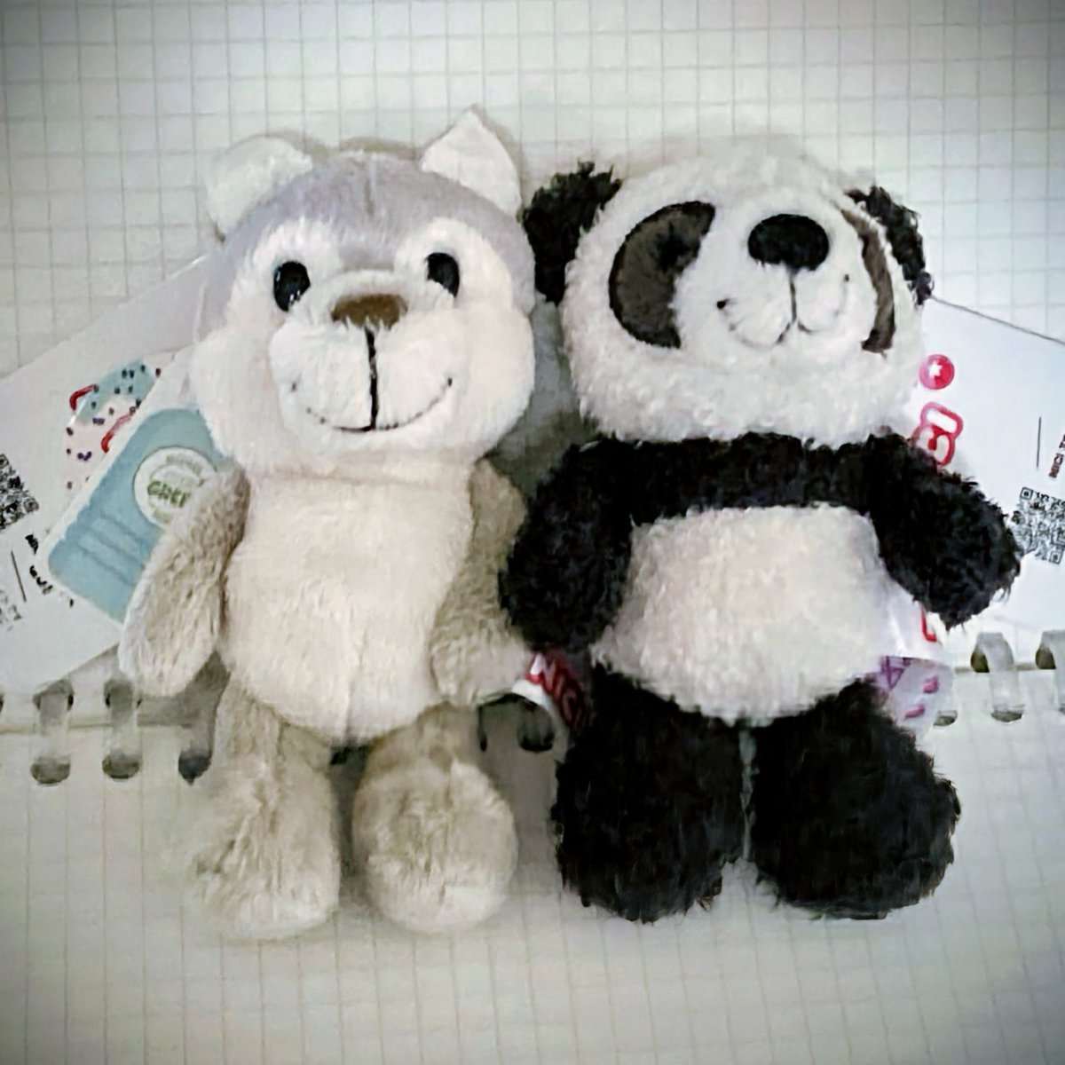 パンダちゃん 小学館の保育絵本31 パンダちゃん WWF - メルカリ