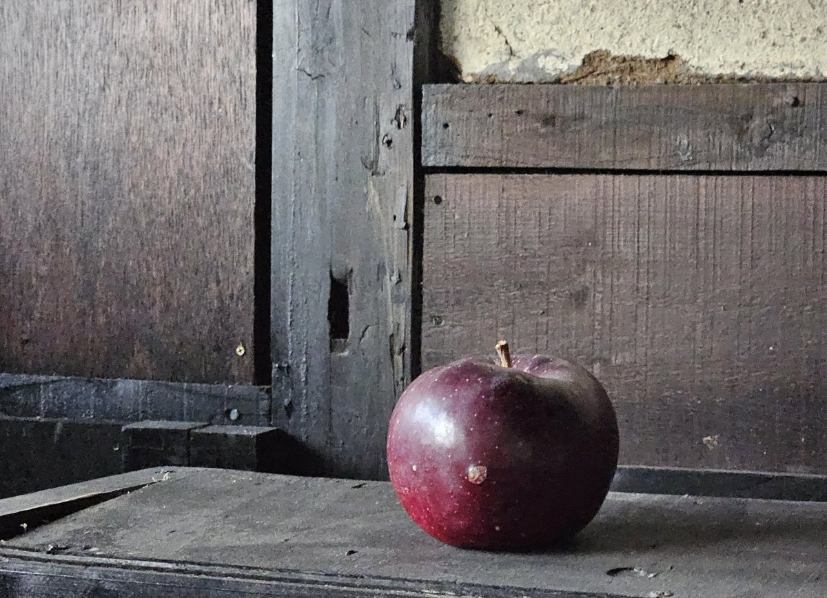 この古びた家も、ふとした瞬間に美しい佇まいを見せてくれる。