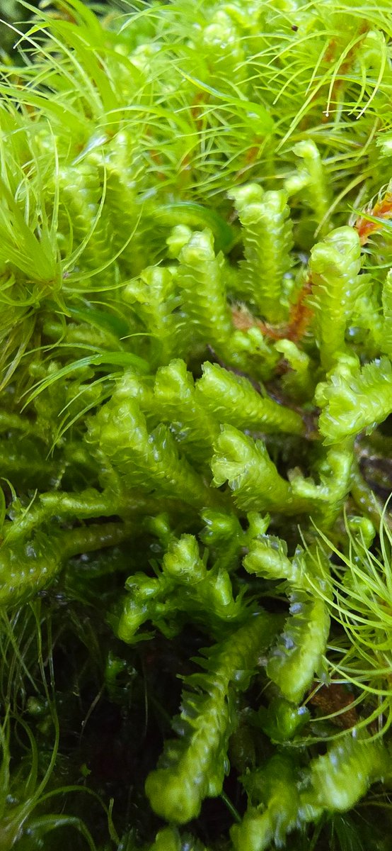 Jamie warren tweet media