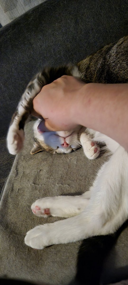 Okay no rule you can't spend a whole week being an absolute asshole and then be like this. It's not fair.