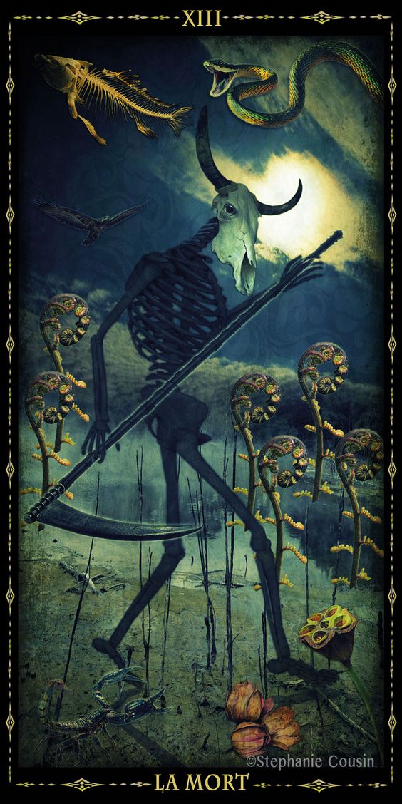 0ccultbot's tweet image. 