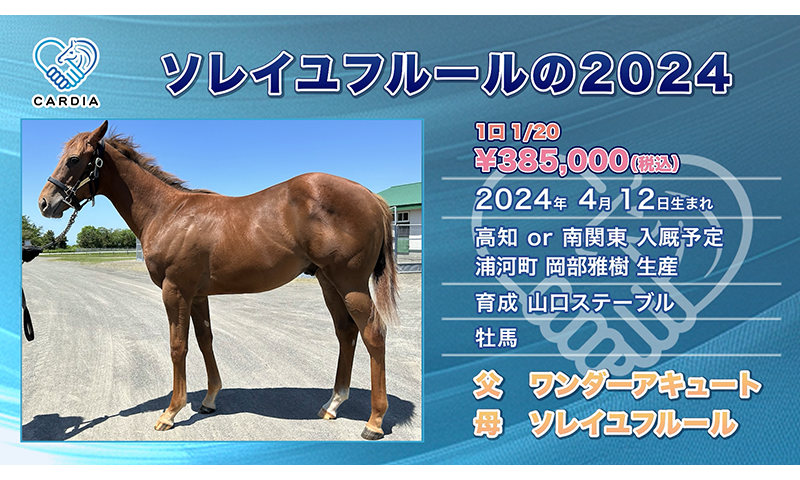 ボルト氏の馬術 貴重「ボルト氏の馬術」 2025年最新】ボルト氏の馬術の人気