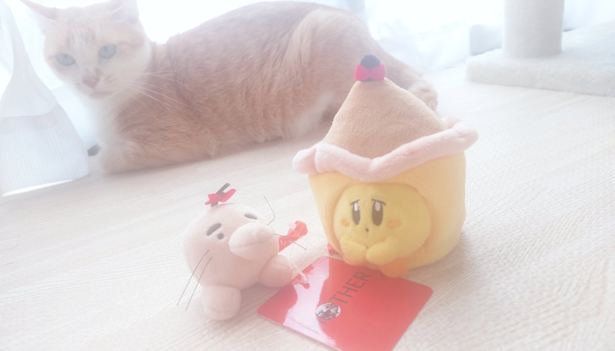 みちゃ✰ะ (@michapoyo222) / Posts / X