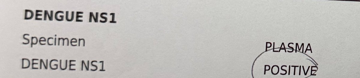 Dignified tweet media