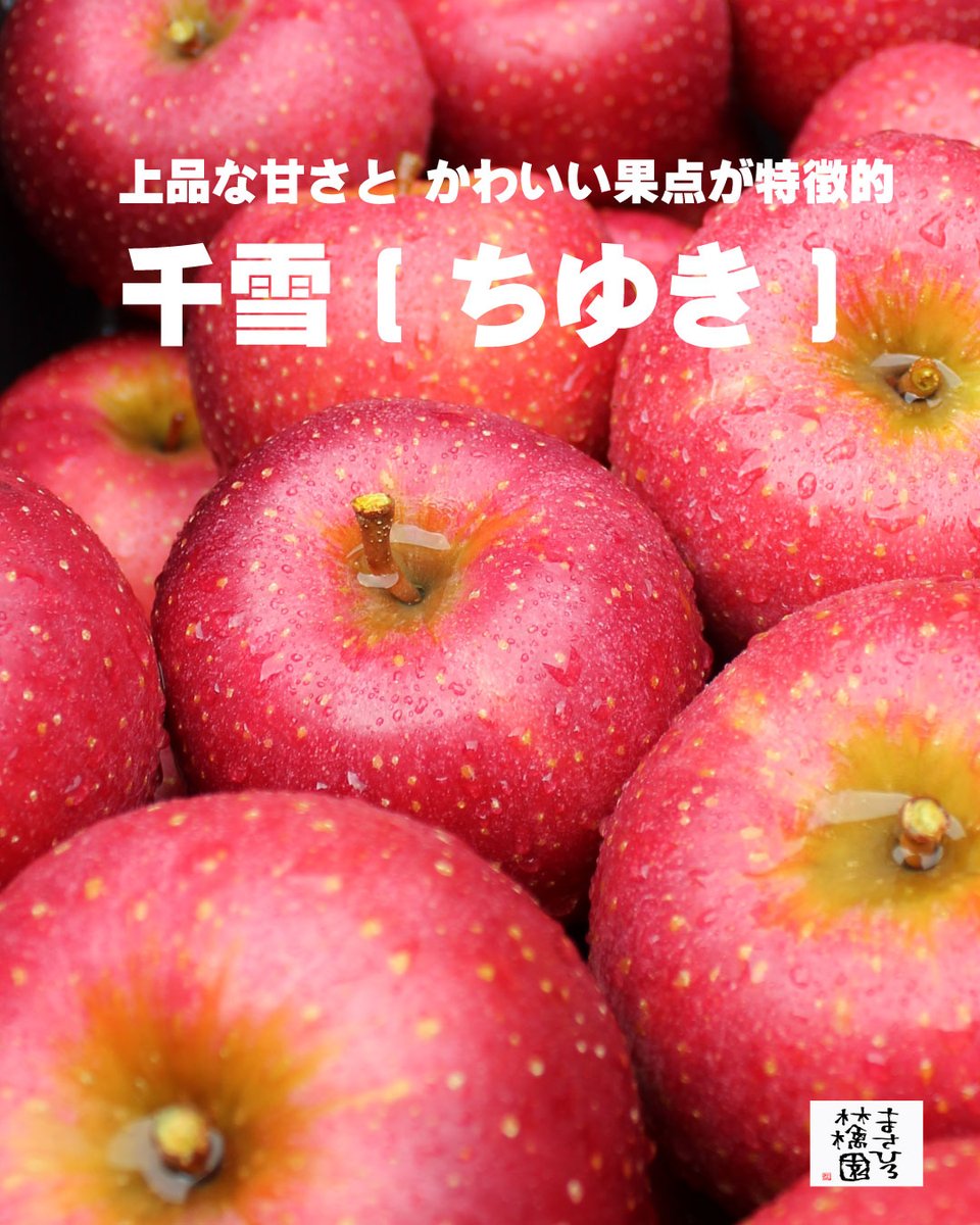 雪林檎様 お見積りページ スタッフU@まさひろ林檎園🍎「星の金貨」10月24日(金)正午～販売