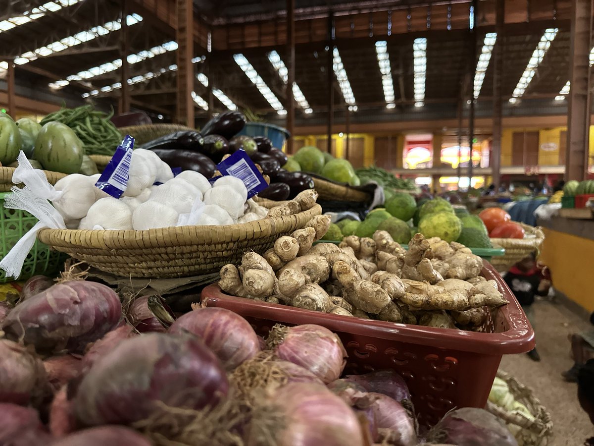 momothepearl's tweet image. Kabale you were amazing!
Oh how I love organic fresh food right from the garden to market.
No place like home!
#GoldenPosts @094bc8f590e84bb