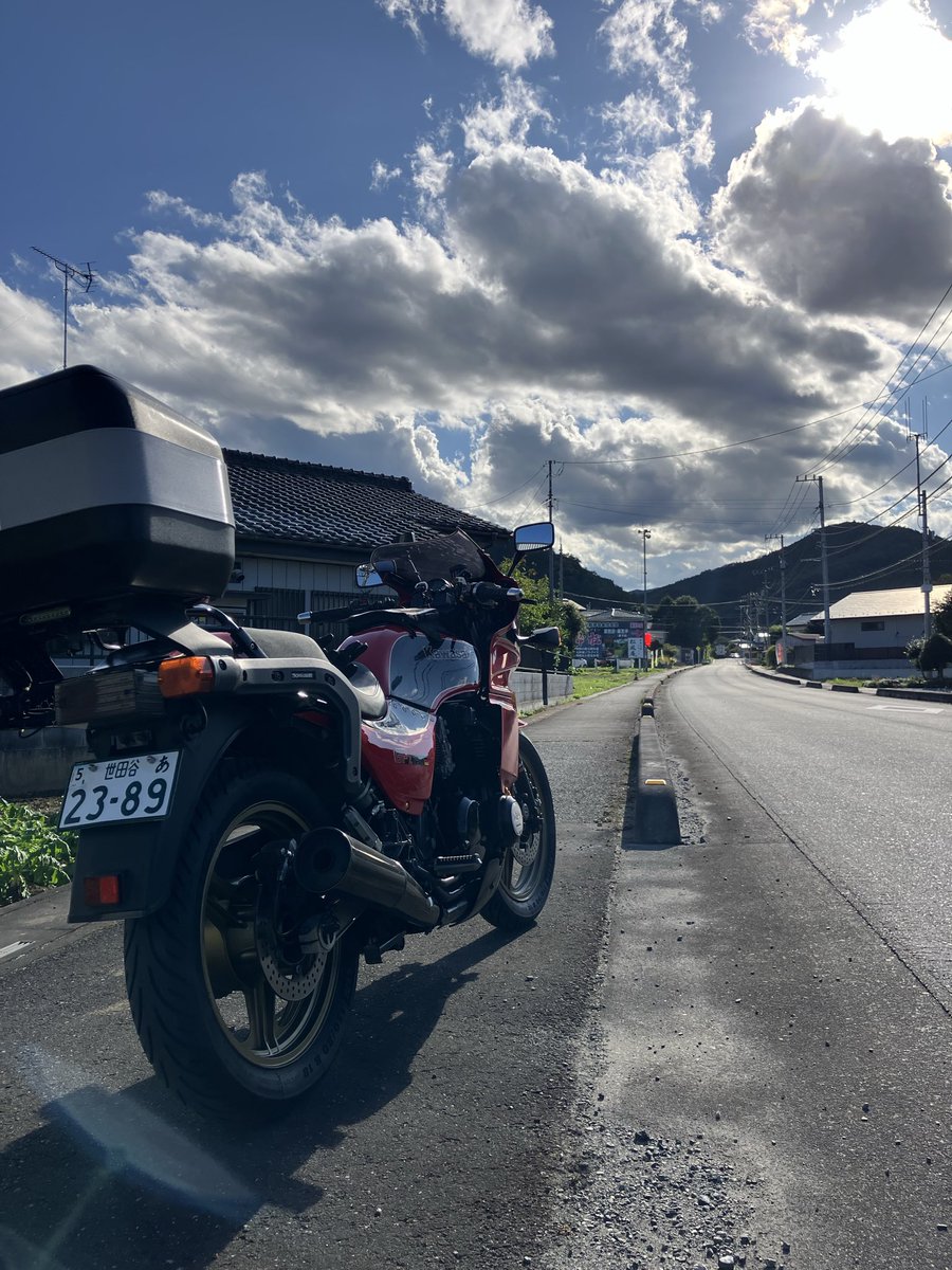 いちご✩　ホルミシスの湯 Stray dog on X