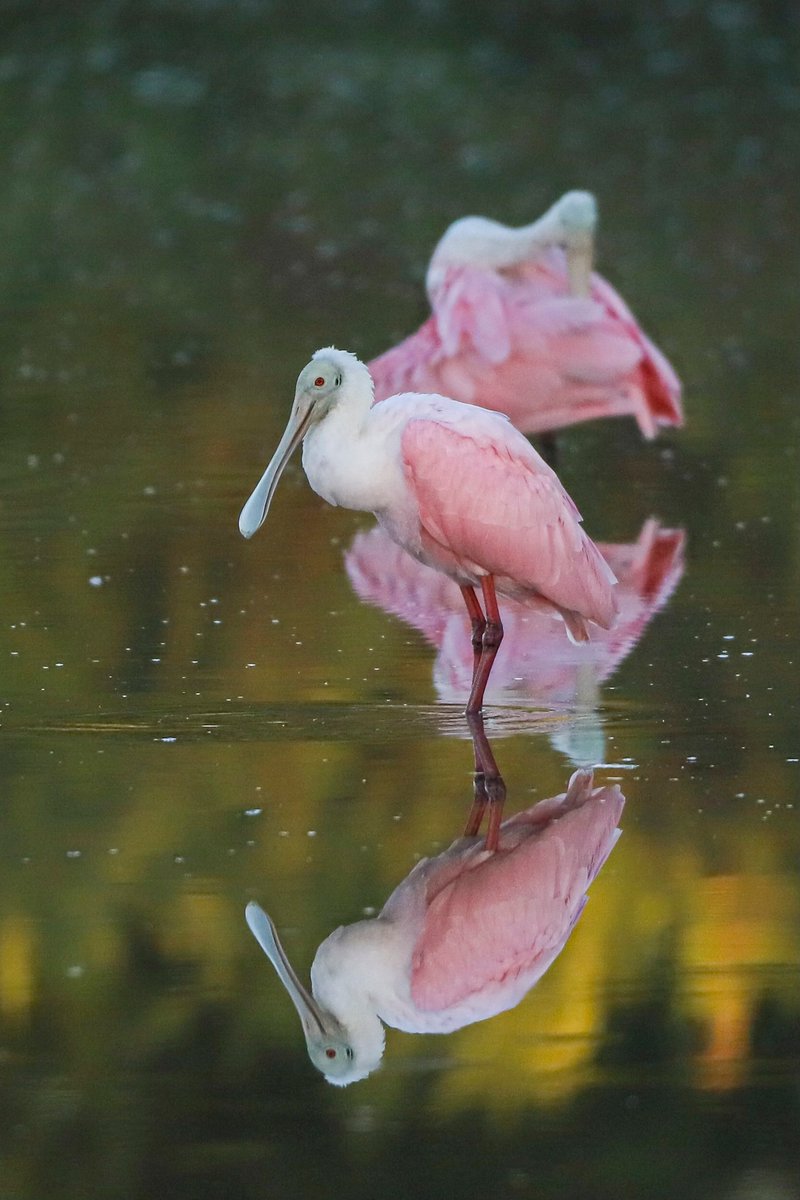 MezmurBest's tweet image. The power of perspective: #Eritrean photographer Awet Nebiyat  fulfills all the arts and elements of photography. Her chosen angles and  masterful exposures are indescribable. A true camera artist.