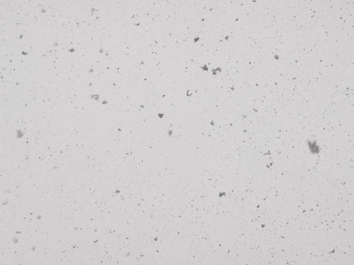 ddui268747's tweet photo. @TaoTie_s 这是五年前的飘雪。以前很喜欢在雪天的晚上开窗看外面。下雪时候不是很冷，好多平时的杂音被雪吸收掉，天空被灯光映成另一种颜色，没有明显的时间流逝感。 https://t.co/9TTohSJbhi