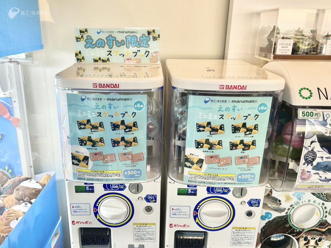 すぬーぴの絵の水 すぬーぴの絵の水 新江ノ島水族館 on X