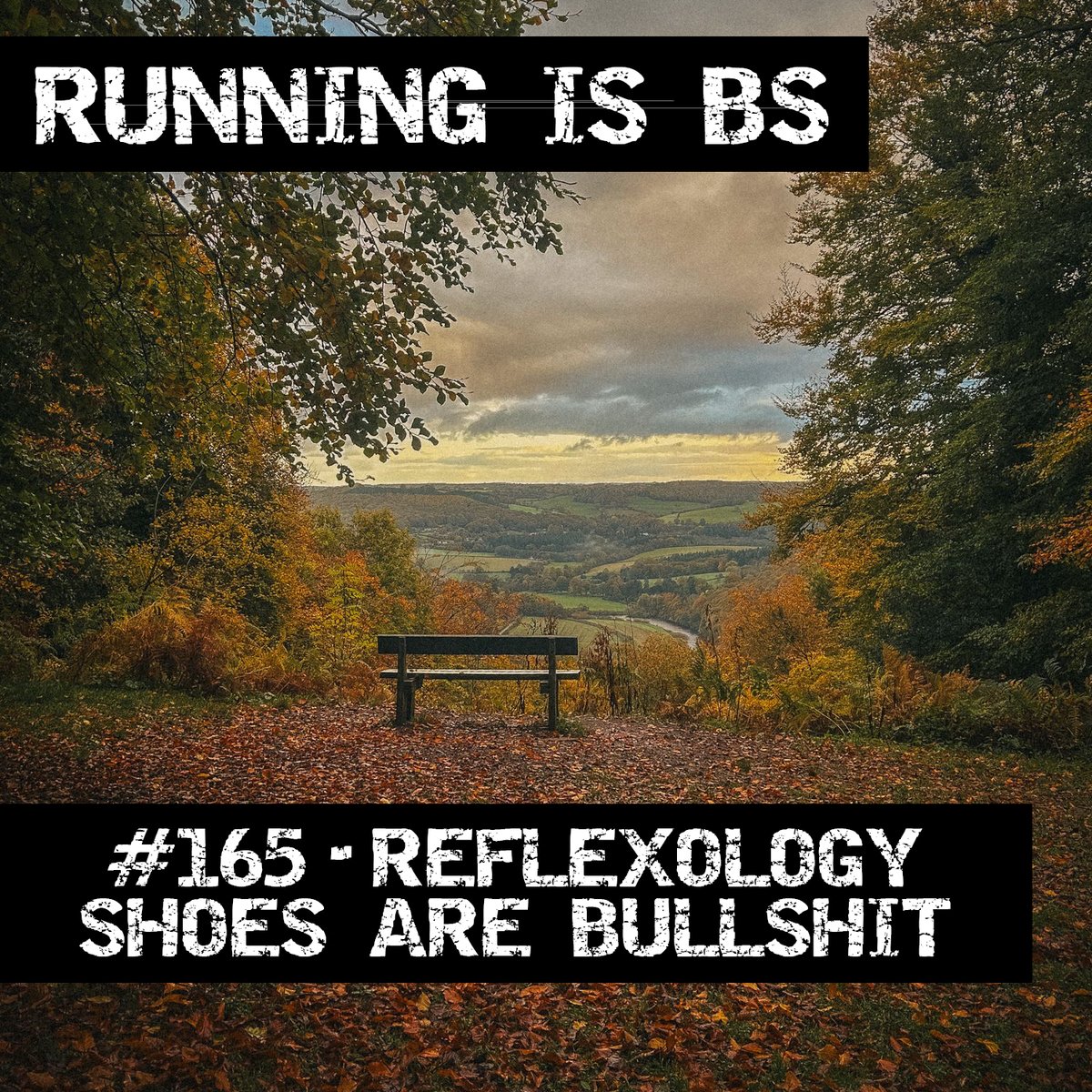 Running is Bullshit Podcast tweet media