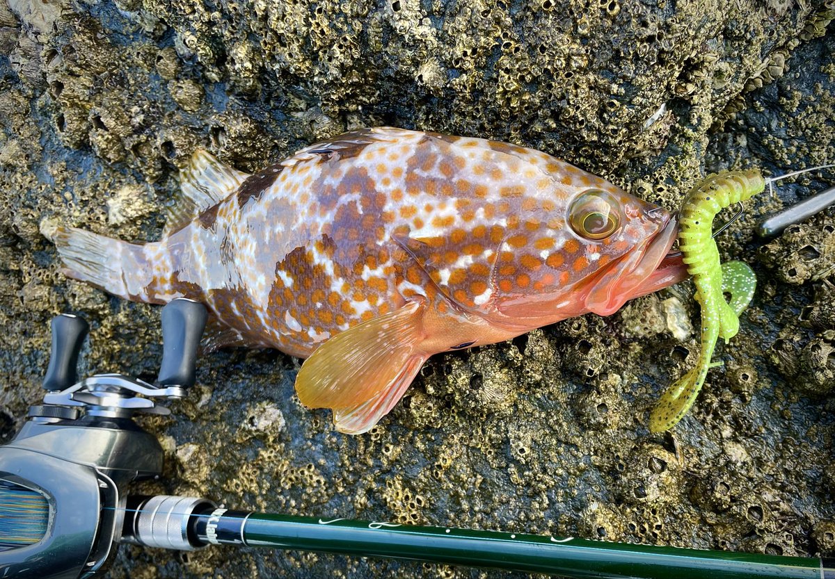 山崎 正人 (@Bad0708M) / Posts / X