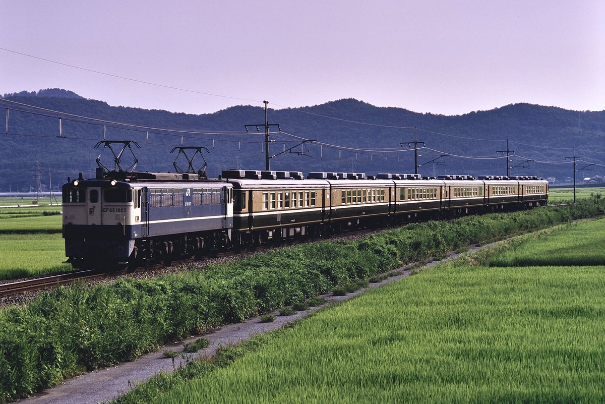 とーちゃん (@SIjy6qdepUXrPB0) / Posts / X