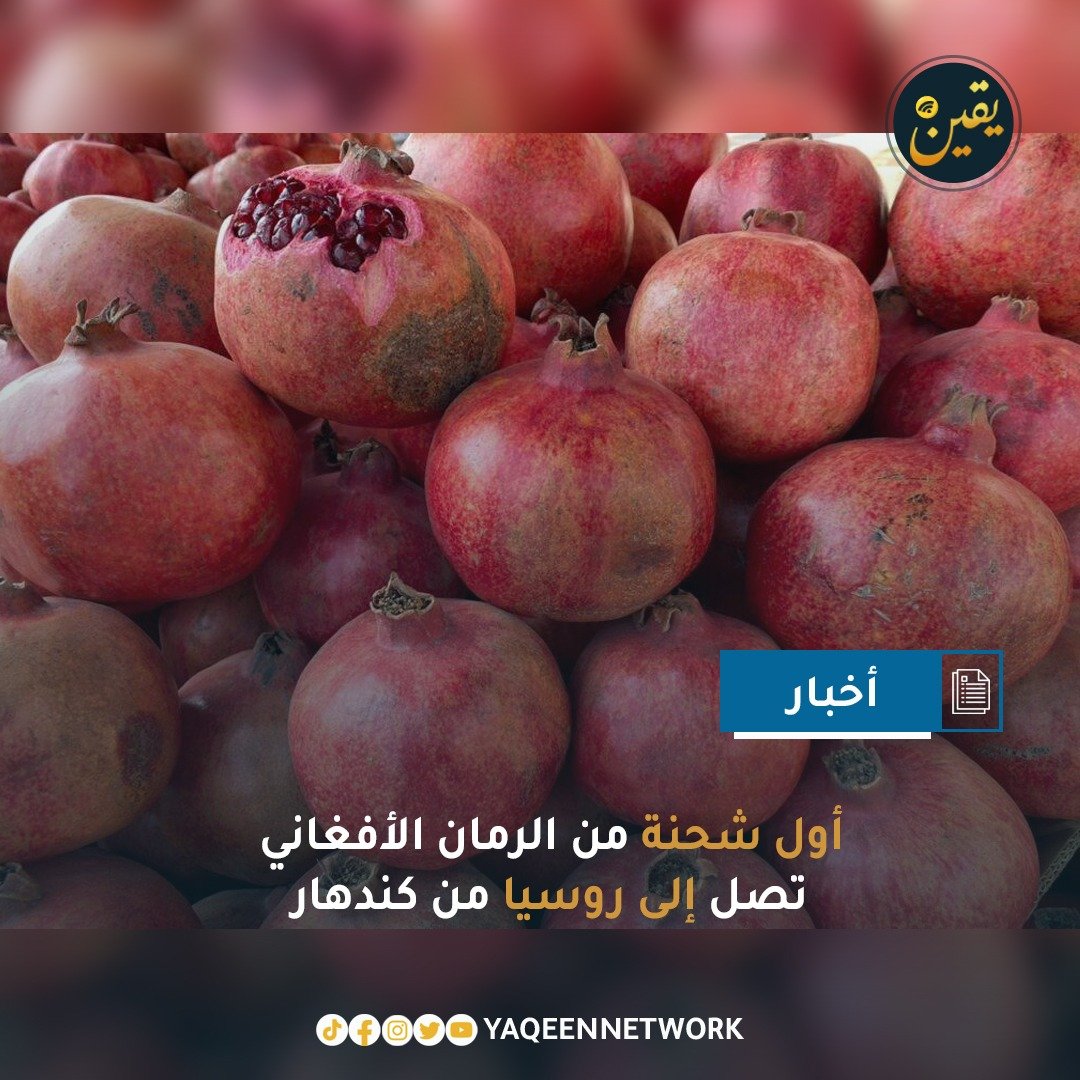 أعلنت غرفة التجارة والاستثمار في كندهار عن إرسال أول شحنة من الرمان الأفغاني إلى روسيا، حيث أشار رئيس الغرفة عبدالأحد صديقي إلى أن شركة لتصنيع الفواكه الطازجة صدرت 22 طناً من الرمان نتيجة تخفيض الرسوم الجمركية من قبل روسيا. وأوضح مسؤولو الشركة المصدرة أن هناك توقعات بإرسال ما يصل