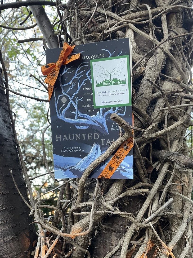 Bookfairies_NE's tweet image. #TheBookScaries are celebrating some great reads this #Halloween! Who will find this thrilling collection - #HauntedTales by #AdamMacqueen on the Bowes Railway Path in Gateshead?

#ibelieveinbookfairies #SpookySeason #ScaryBooks #HalloweenBooks #SpookyStories #TBFSwift
