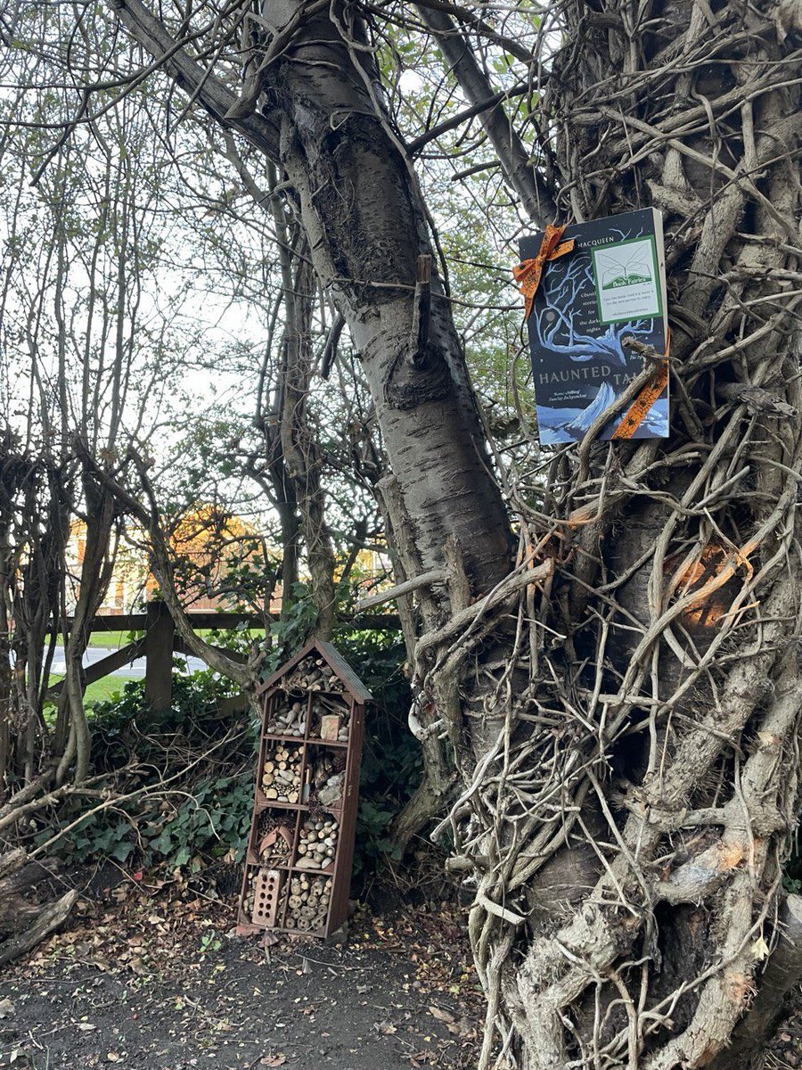 Bookfairies_NE's tweet image. #TheBookScaries are celebrating some great reads this #Halloween! Who will find this thrilling collection - #HauntedTales by #AdamMacqueen on the Bowes Railway Path in Gateshead?

#ibelieveinbookfairies #SpookySeason #ScaryBooks #HalloweenBooks #SpookyStories #TBFSwift