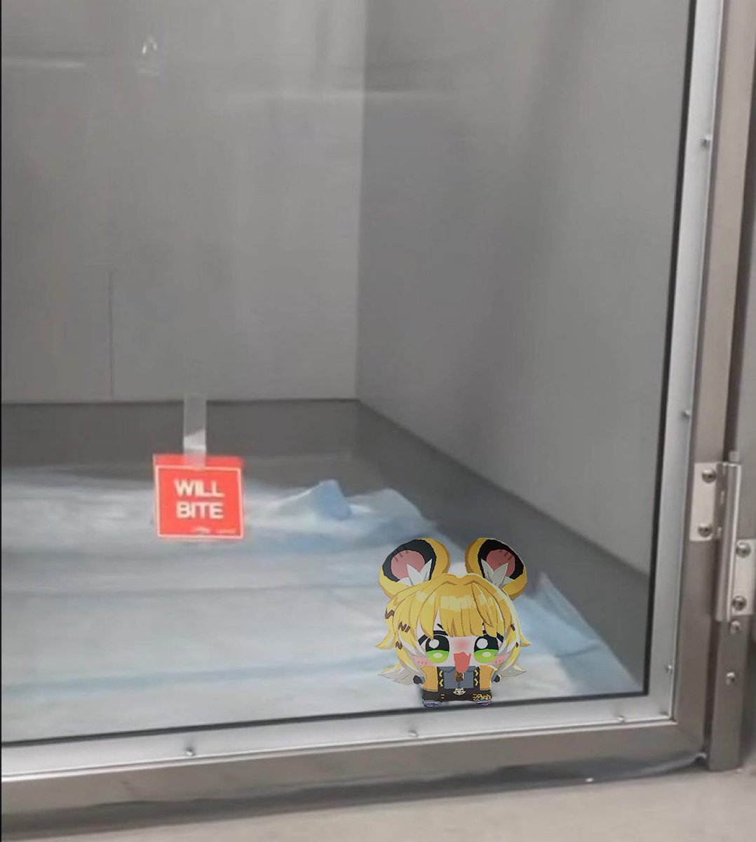 のん☻ チャップ/까마귀챱쌀떡 (@jsb4807) / Posts / X