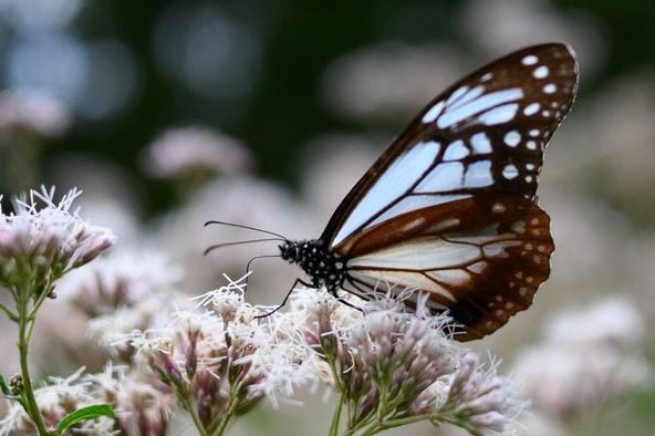 *まる* まるちゃん on X