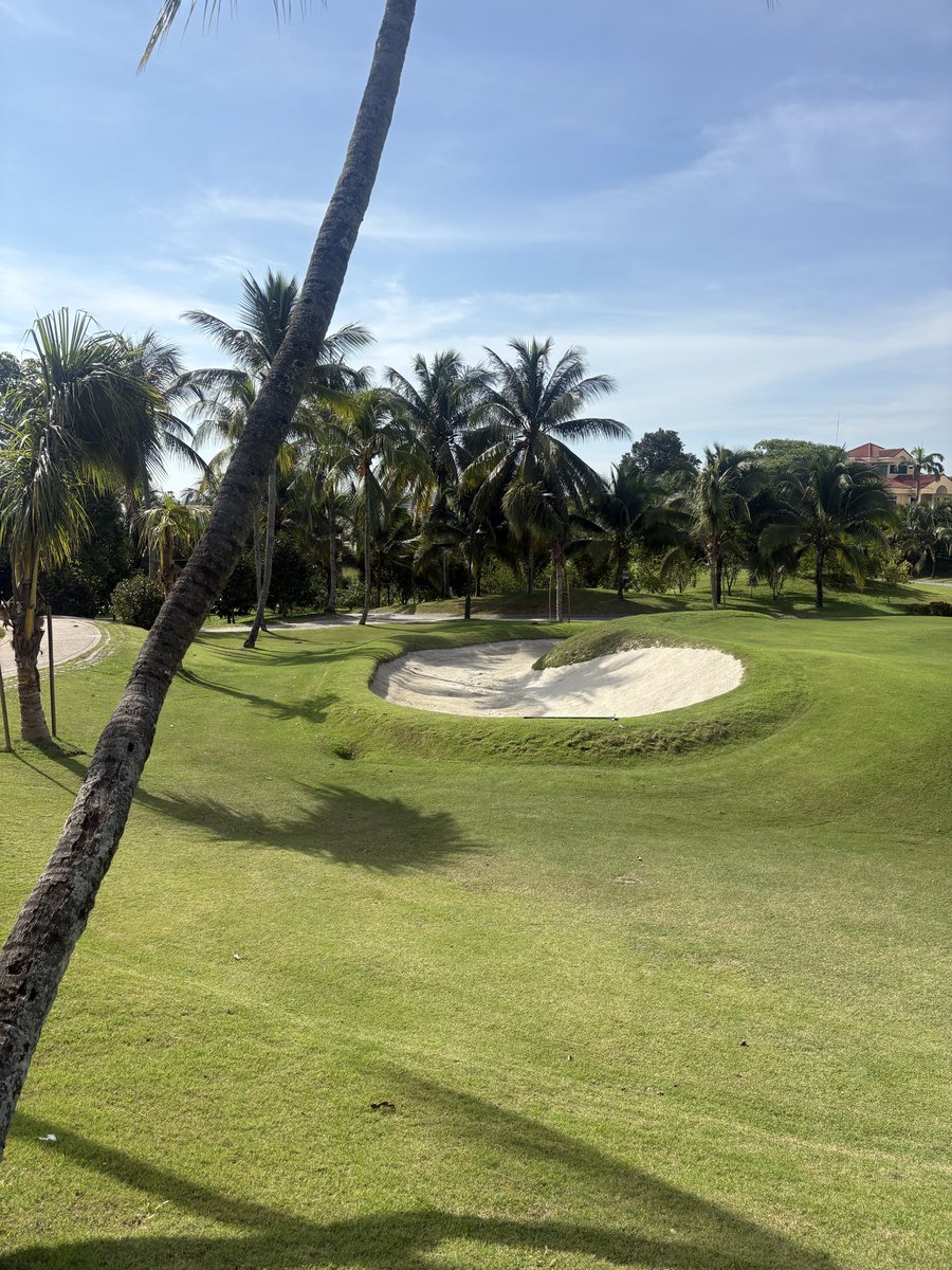 あい@🇲🇾/アンティーク食器販売/頭の中がプロテイン🏋️ on X