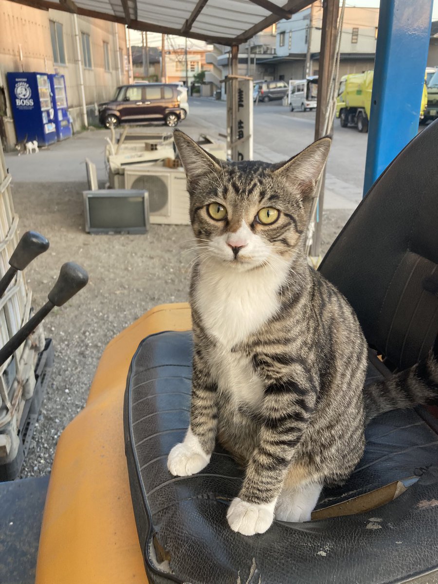 中野元昭（もっさん） on X