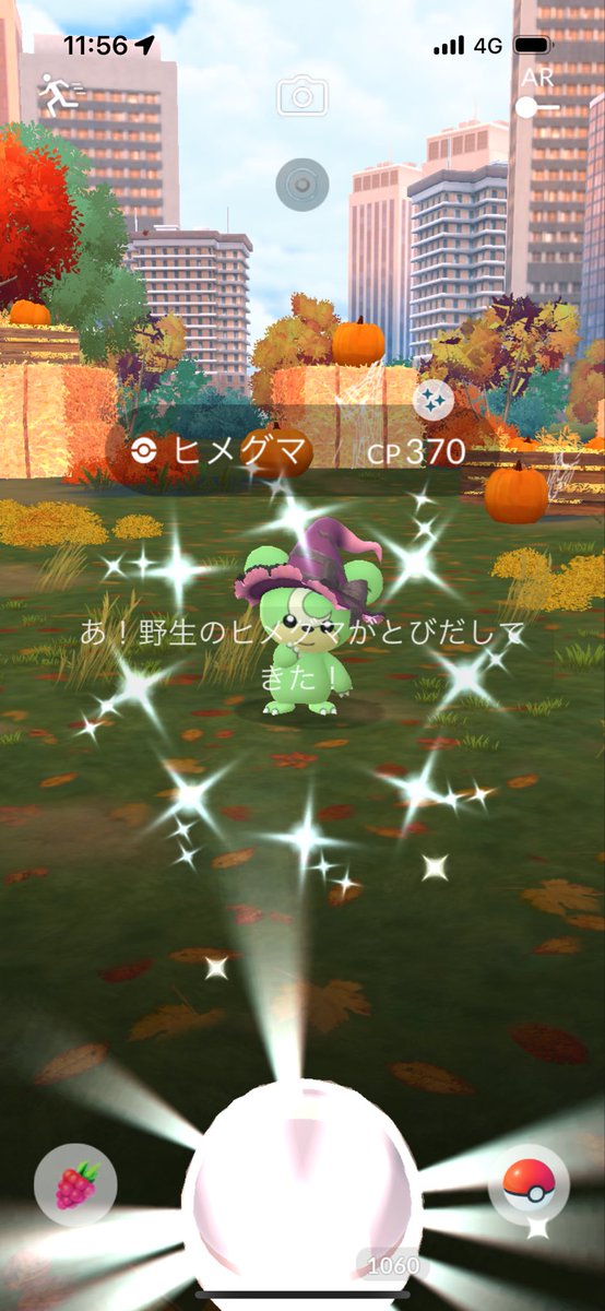 BCHT13's tweet photo. 今日のイロチ🐶
#ポケモンGO #ポケモンGO色違い https://t.co/Iy7dlcbndk