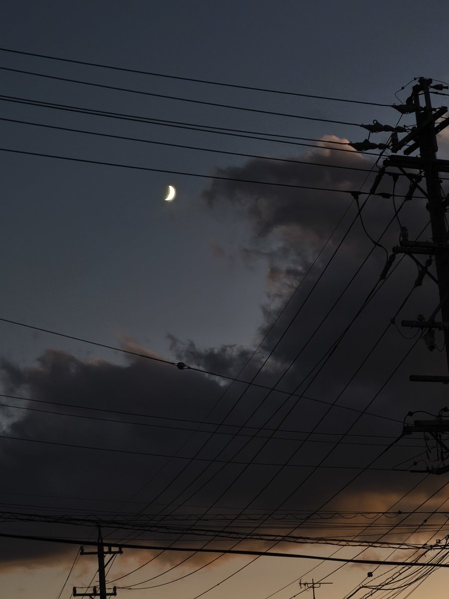 さくら🌸Kirschblüte☆ on X