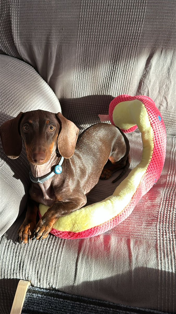 Voy a empezar a usar el champú de Firu, a ver si me brilla el pelo así