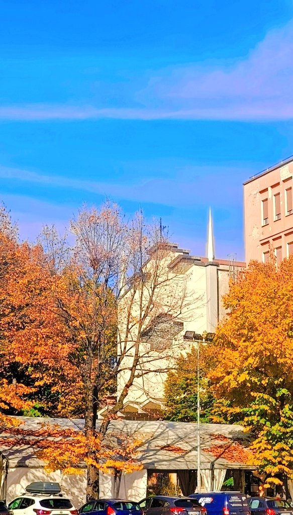 Autumn 🍂🍁🍁🍂. Free fall