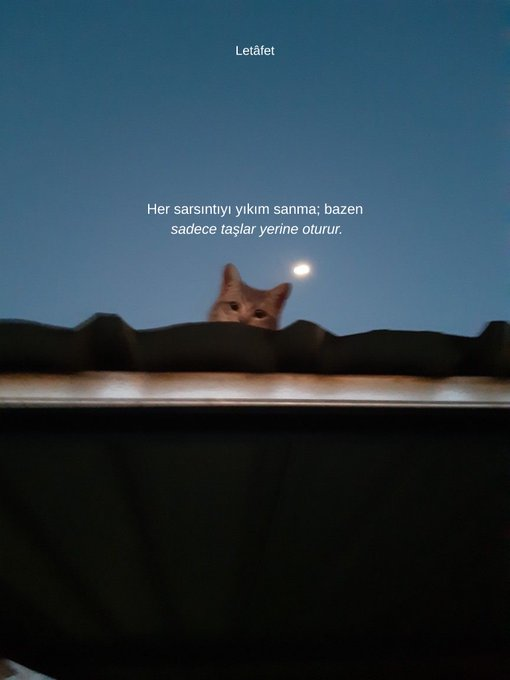 Helin Cebeci (@helincebecii) on Twitter photo 