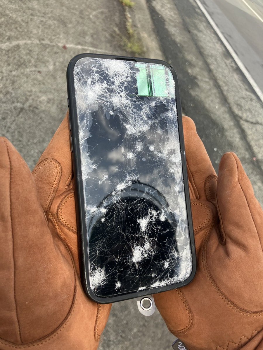 🦋ちぃ🦋 tweet media