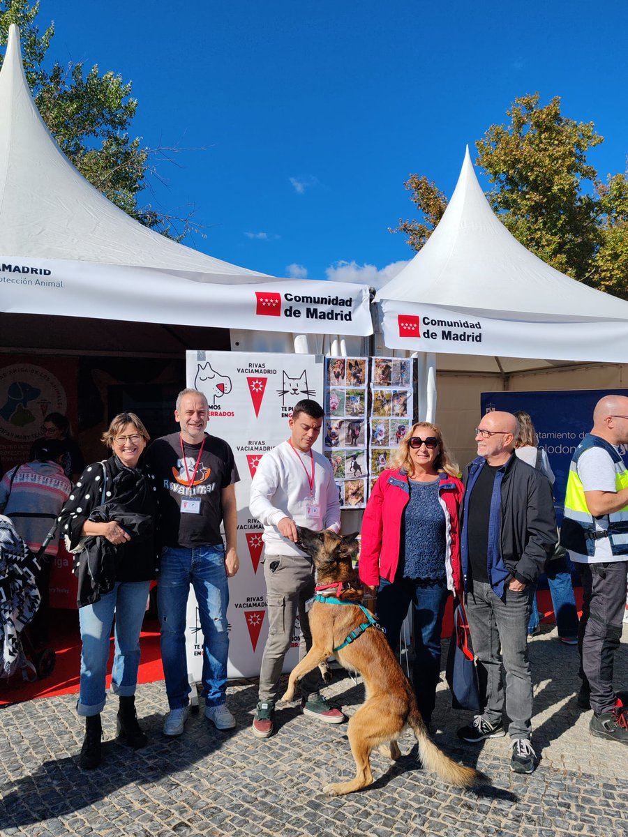 PGabina's tweet photo. Estupendo fin de semana en el XX Salón para la Adopción de Animales de CAM, representando al @AytoRivas a través de nuestro (CIPAR) Centro de Integración de Protección Animal de Rivas-Vaciamadrid Mary Tealby gestionado por @Rivanimal. https://t.co/7CVQKuLRjN