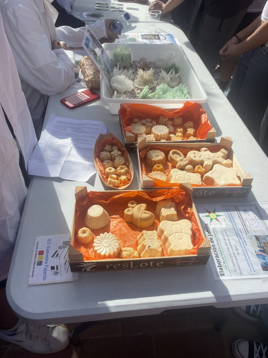 IES La Florida tweet media