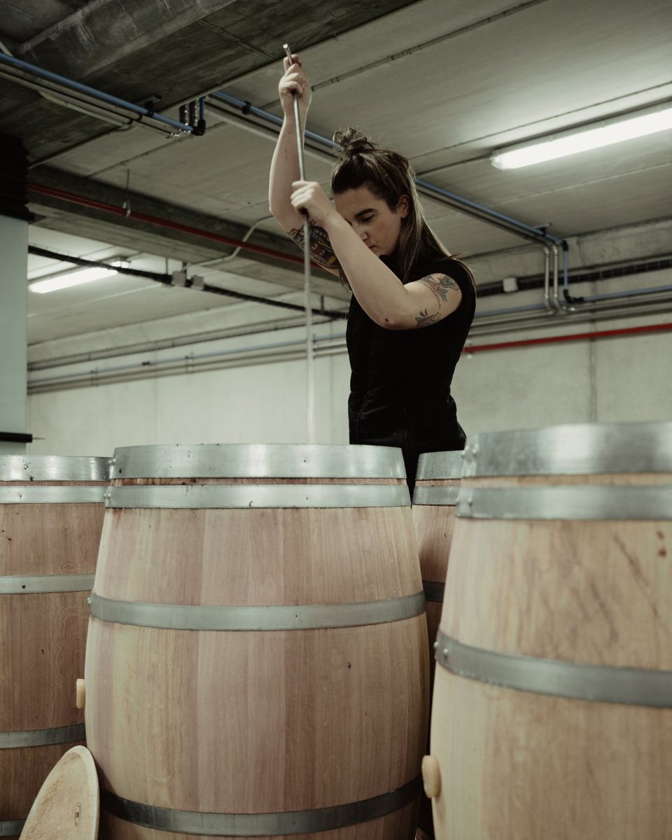 El bazuqueo manual es uno de los rituales más antiguos de la vinificación, y en Baigorri lo mantenemos vivo.
-
Manual punching down is one of the oldest rituals in winemaking, and at Baigorri we keep it alive.