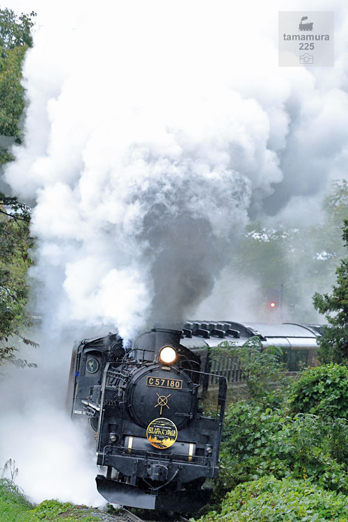 はらむら 楽天市場】【 ポイント 11倍 】 ルースイソンブラ ストレッチ