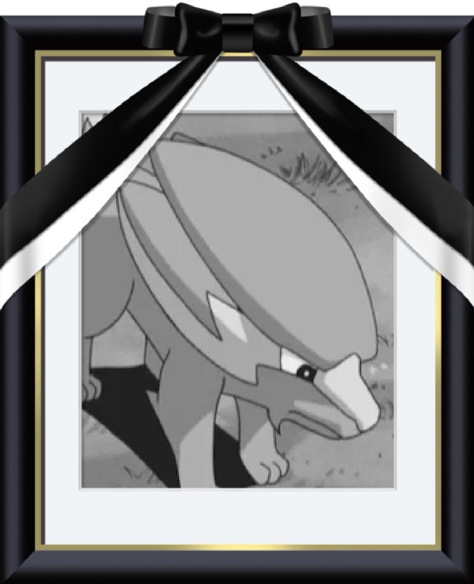 Kabigon【断捨離中】様　リクエスト Kabigon【断捨離中】様 リクエスト カビゴン様 リクエスト 2点