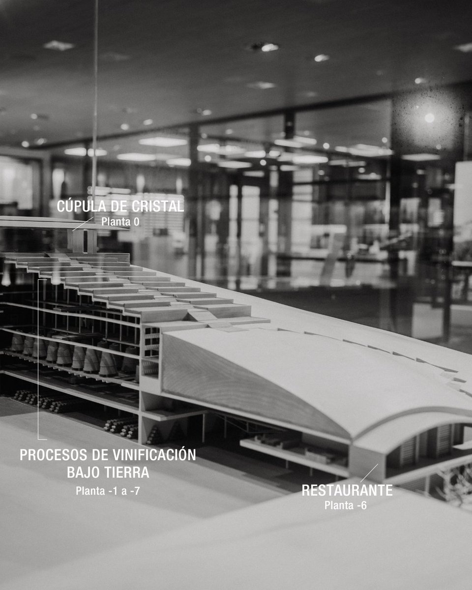 Un proyecto revolucionario que consistió en integrar la bodega en el entorno de manera sostenible y en el que el vino caería por plantas por su propio peso.
-
A revolutionary project that consisted of integrating the winery into the environment in a sustainable way.