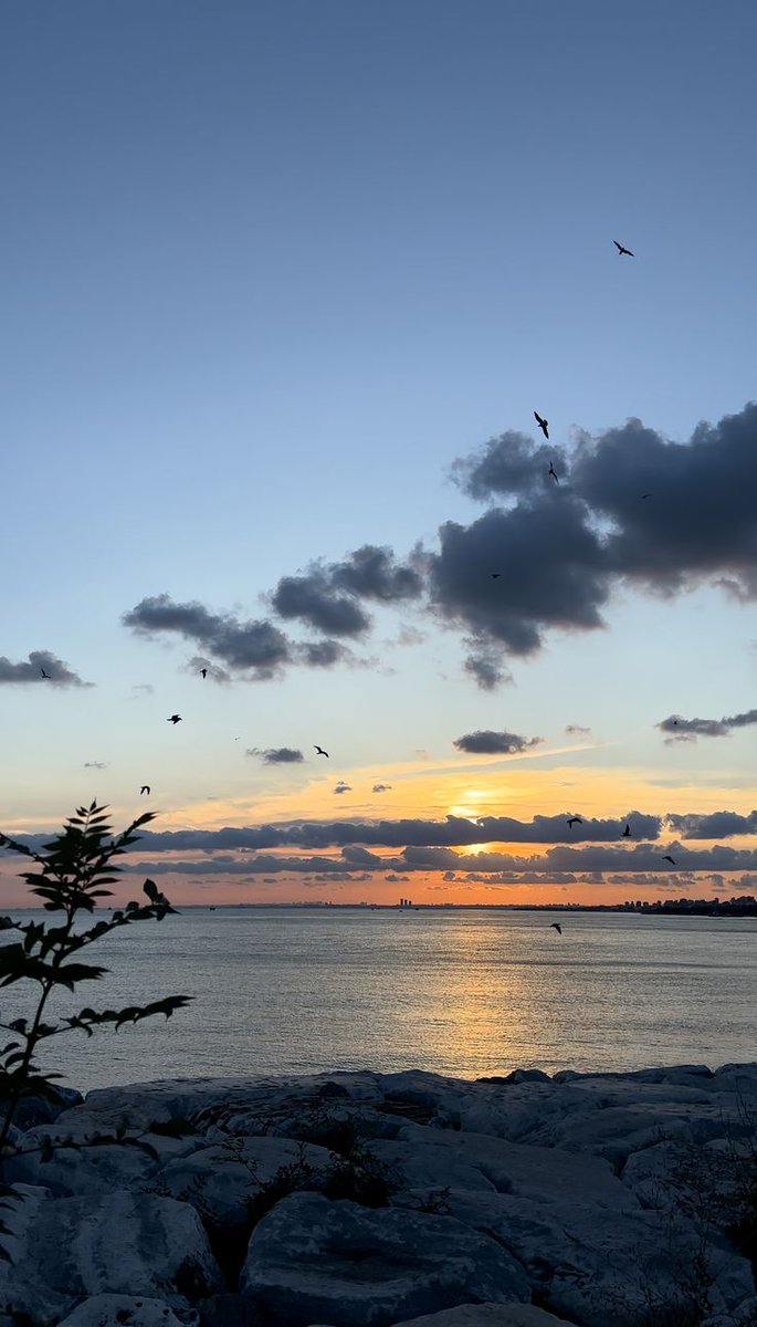 SAGE🌿 (@sagy720) on Twitter photo 