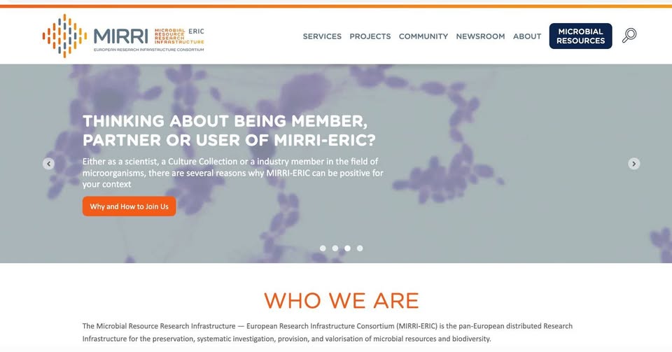 Sus Mirri tweet media