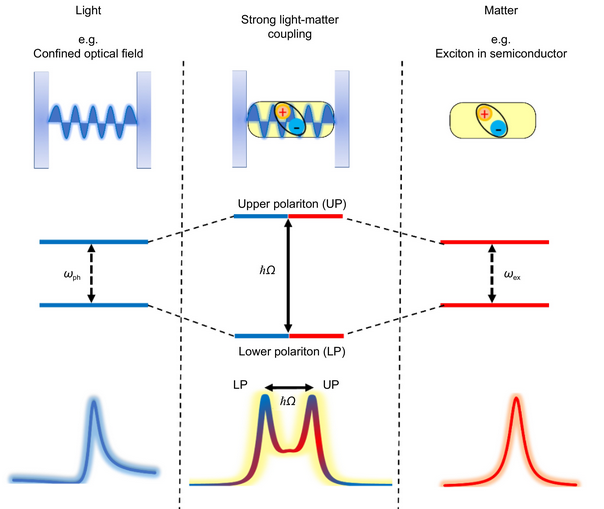 OptoElectronAdv's tweet image. #OES_highlight Recent advances in exciton-polariton in perovskite doi.org/10.29026/oes.2… by Prof. #Andrey_Miroshnichenko @UNSWCanberra #perovskites #strong_coupling #exciton #polariton #Rabi #splitting